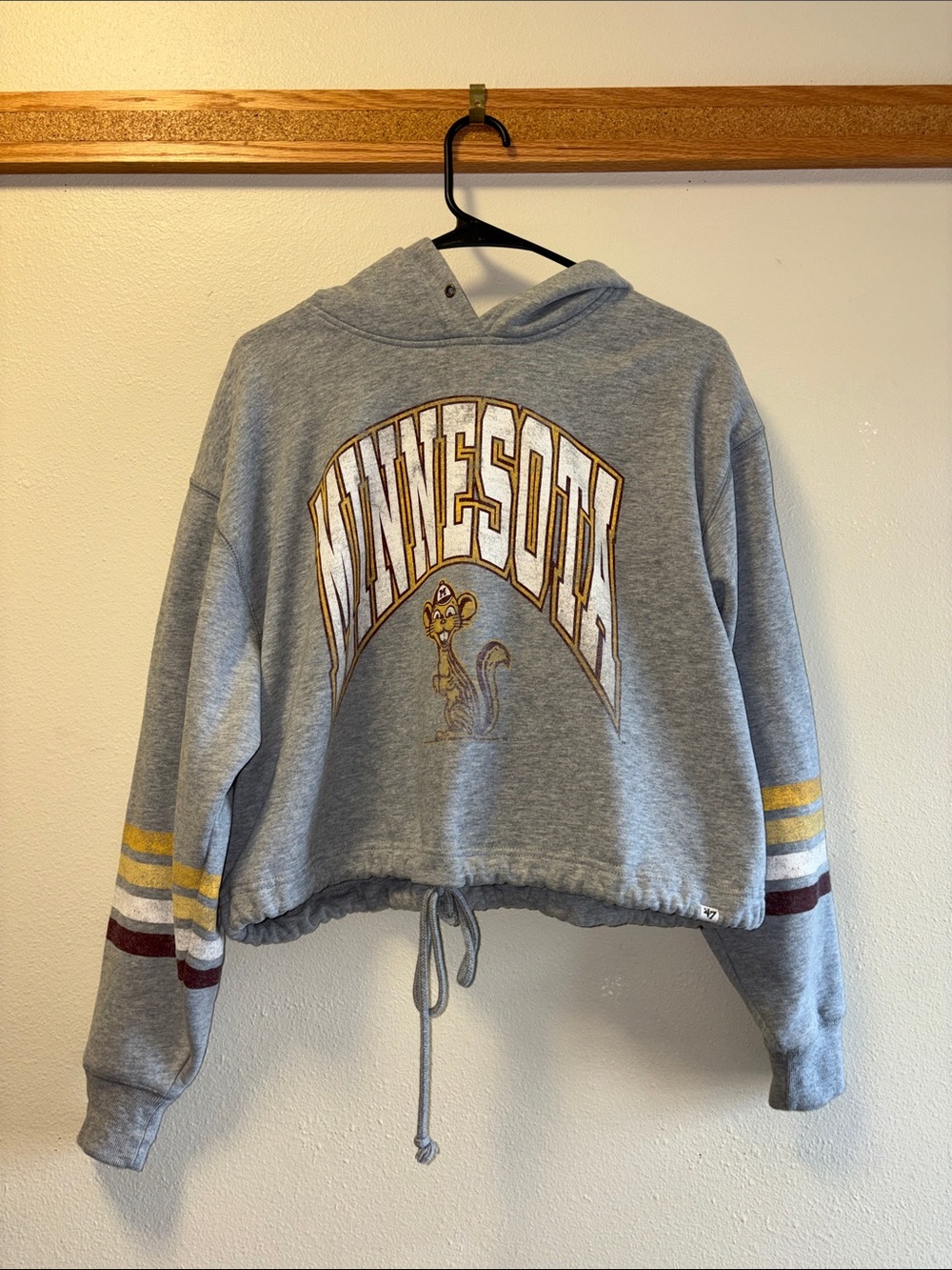 Gray University of Minnesota Cropped Hoodie